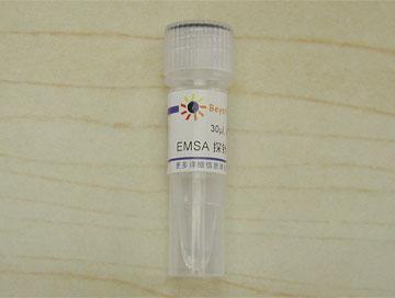 EMSA探针－C/EBP (10μM)